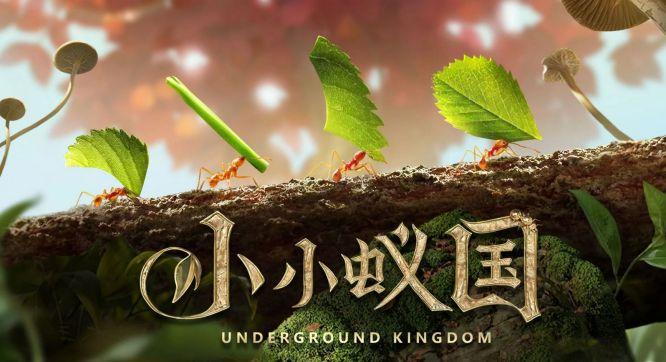 The Ants小小蚁国国际版下载官方正版