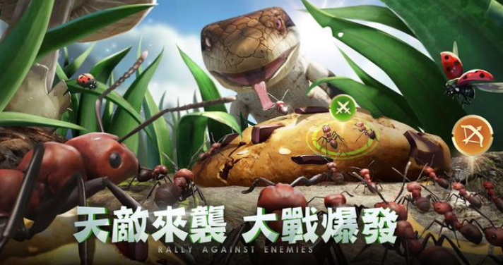 小小蚁国37客户端下载安装