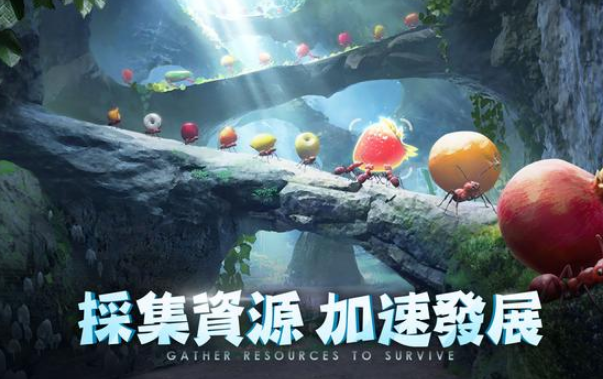 小小蚁国37客户端下载安装