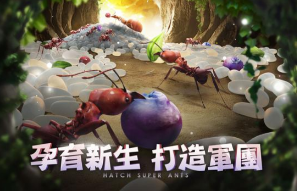 小小蚁国37客户端下载安装