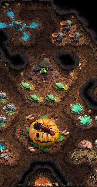 The Ants小小蚁国国际版下载官方正版