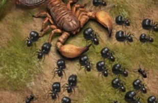 小小蚁国手游国际服官方正版下载