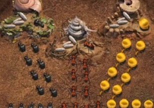 小小蚁国手游国际服官方正版下载