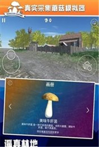 真实采集蘑菇模拟器最新版