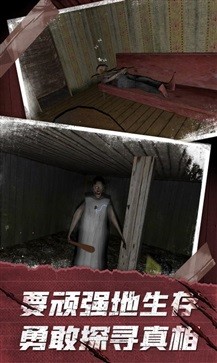 恐怖奶奶10最新版下载