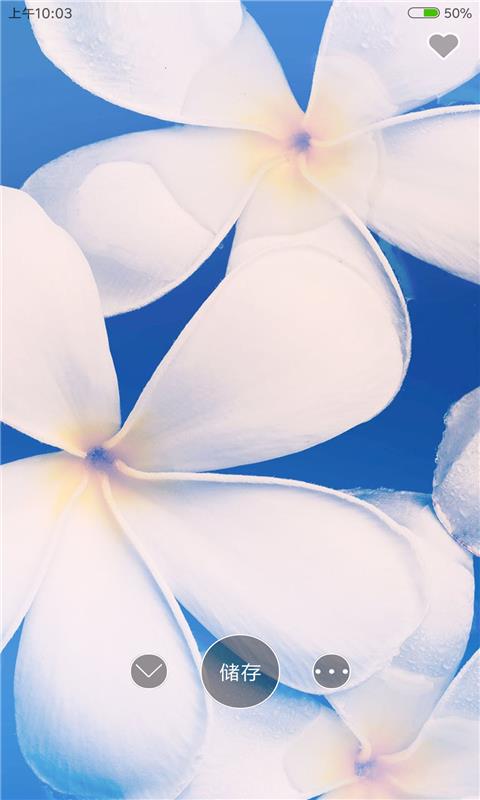 动态壁纸4K
